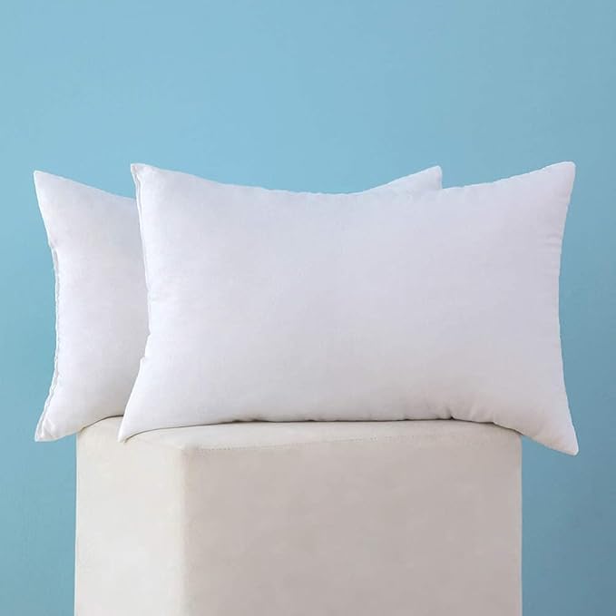 MIULEE Set of 2 Throw Pillow Inserts Premium Pillow Stuffer Rectangle Form for Decorative Cushion Bed Couch Sofa 12x24 Inch