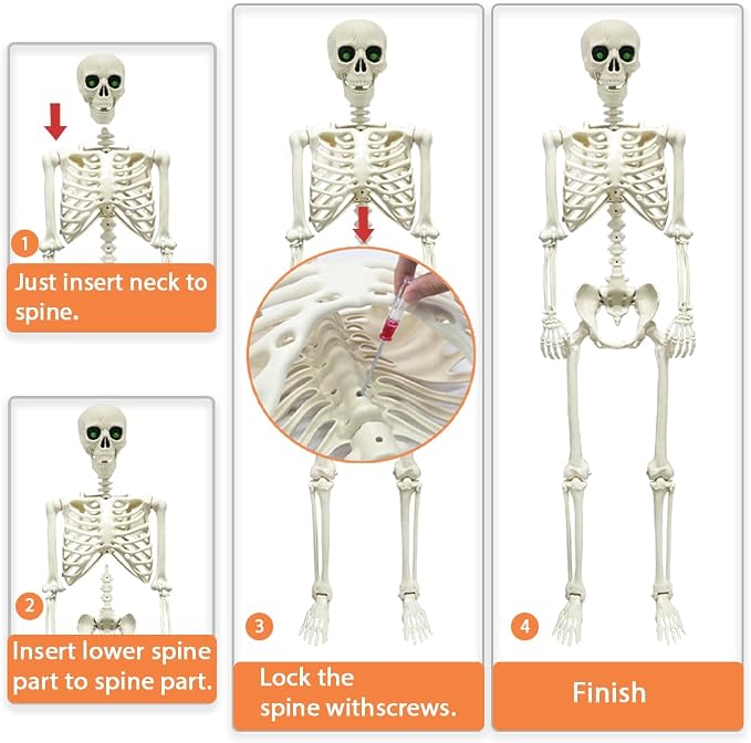 5.4FT Full Size Halloween Skeleton, Life Size Posable Skeleton with Glowing Eyes Scary Sound, Plastic Skeleton with Movable Joints for Halloween Decoration