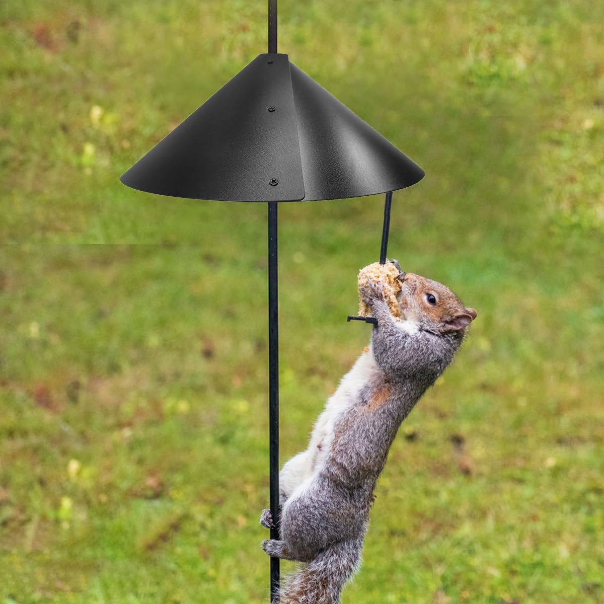 2 Pack Squirrel Baffle for Bird Feeder Pole,Keeps Squirrels Away from Bird Feeder Rods, (19 inch)