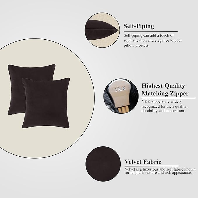 A1HC Set of 2 Luxurious Fine Soft Velvet Throw Pillow Covers Only, for Sofas, Beds, Vibrant Colors and Hidden Zipper. Enhance Your Living Space with Decorative Couch Pillow 24"x24", Graphite