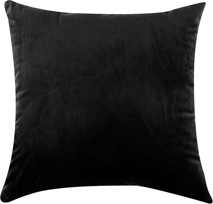 NiNi ALL Decorative Throw Pillow Covers Pack of 2, Velvet Throw Pillow Cases for Couch Pillows Cover Bedroom Living Room Outdoor, Pillow Covers 16x16 Inch, Black