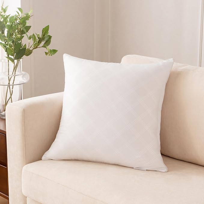 Oubonun 20x20 Throw Pillows Inserts Pack of 2, Decorative White Square Pillow Inserts, Premium Fluffy Pillow Insert Pair for Sofa Couch Living Room
