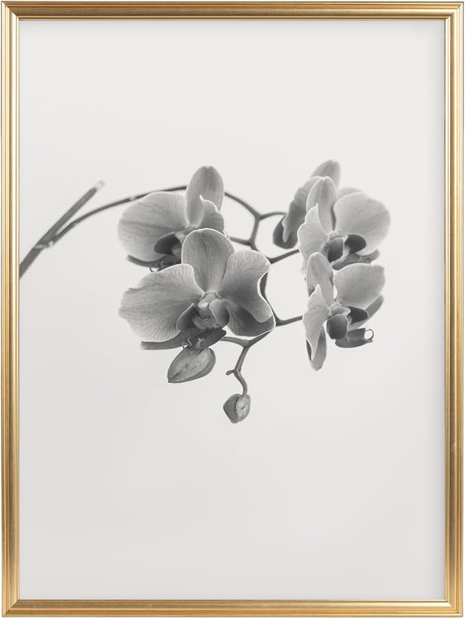 Kate and Laurel Adlynn Modern Rectangle Poster Frame, 20 x 26, Gold, Glam Large Photo Frame for Use as Movie Poster Display or Gallery Wall Piece in Living Room Wall Decor