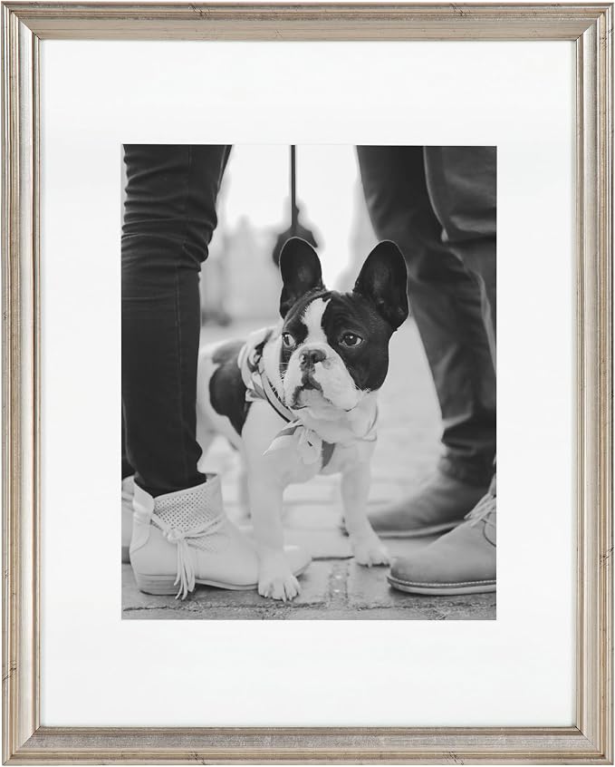 Kate and Laurel Adlynn Rectangle Picture Frame Set of 4; 11 x 14 matted to 8 x 10; Silver; Glam Four-Piece Frame Set for Gallery Wall Frame Set in Living Room Wall Decor