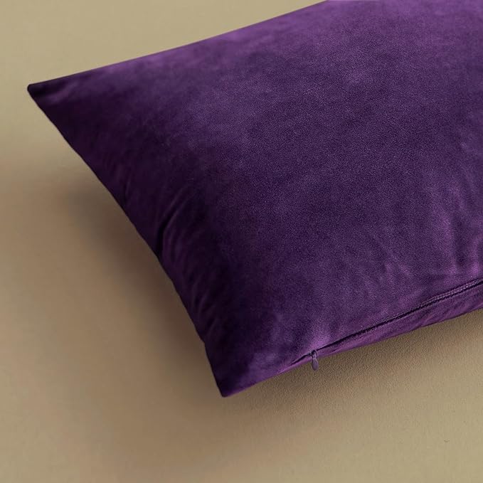 MIULEE Velvet Throw Pillow Covers 16x16 Inch, Pack of 2 - Eggplant Purple, Super Soft Decorative Square Cushion Cases Modern Luxury Home Decor for Sofa,Couch,Bed,Chair