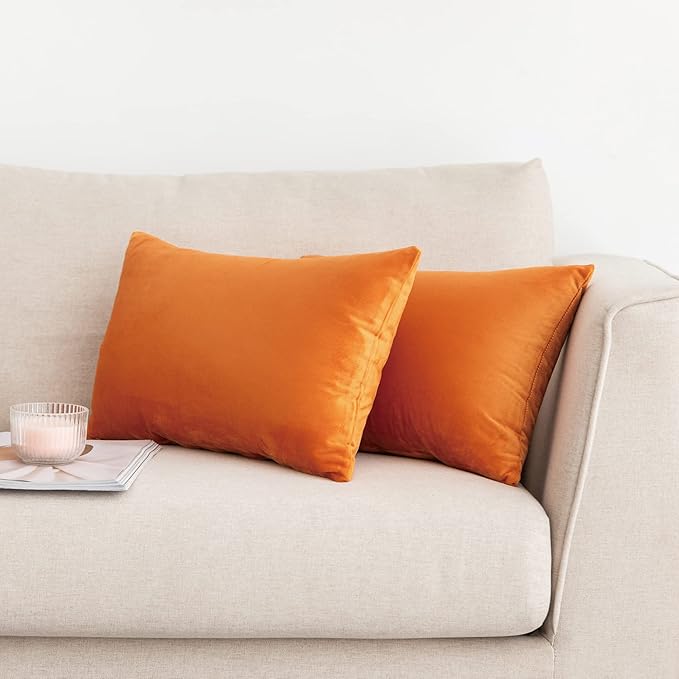 NiNi ALL Decorative Throw Pillow Covers Pack of 2, Halloween Velvet Cushion Case for Couch Bedroom Living Room Outdoor, Pillow Covers 12x20 Inch(30 x 50 cm) Orange