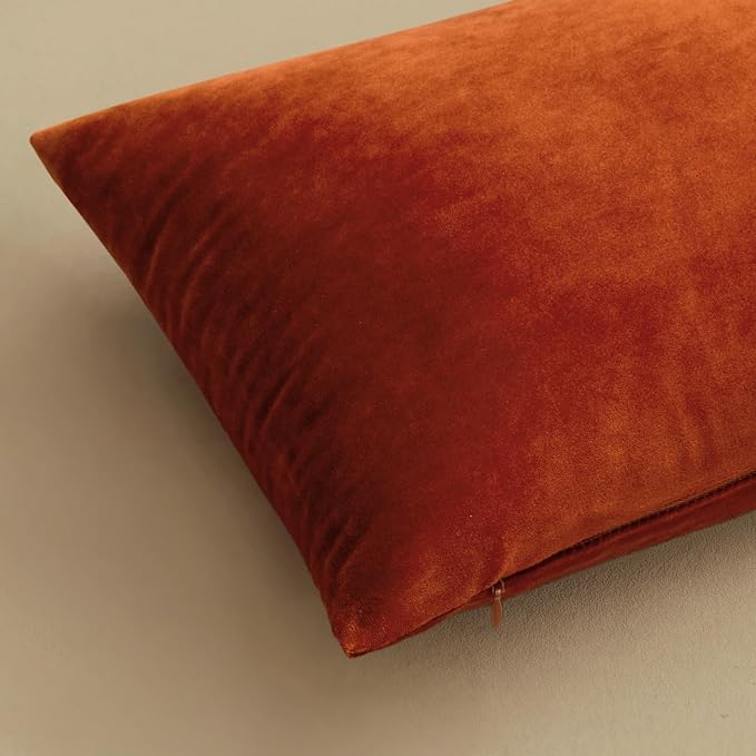 MIULEE Burnt Orange Pillow Covers 18x18 Inch Soft Velvet Throw Pillow Covers Fall Decorative Square Pillowcases Modern Home Decor for Sofa Bedroom Couch