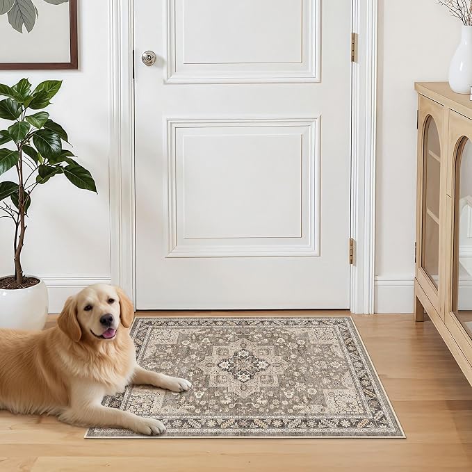 Vintage Living Room Area Rug 2x3 - Large Soft Washable Oriental Traditional Distressed Farmhouse Rugs for Bedroom - Indoor Floor Accent Carpet for Home Office House Decor - Brown