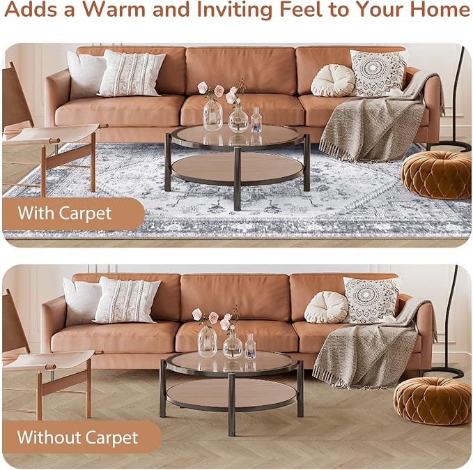 OPPODREAM Soft Neutral Area Rugs 4x6, Low-Pile Washable Rugs 4x6 with Non Slip Backing, Faux Cashmere 4 x 6 Throw Carpet, Grey