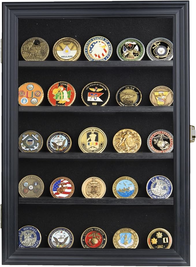11.5 X 16 Pin Display Case Medal Shadow Box with 98% UV Protection for Military Medals, Beach Tags, Jewelry Pins, Pin Gift, Insignia Ribbons Memorabilia (Black Finish)