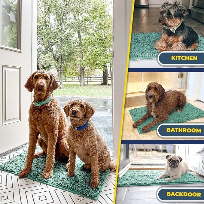 Muddy Mat® | Super Water Absorbent Door Mat Indoor, Microfiber Quick Dry Chenille Entryway Rug, Slip Resistant Front Door Mat, Indoor Mats for Entryway, Machine Washable Pet Rug, Sea Green 24"x36"
