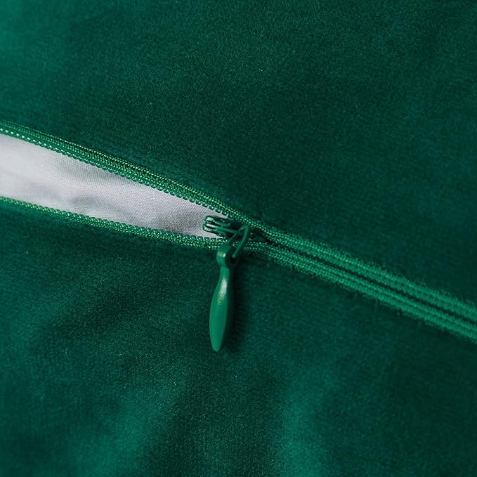 JUSPURBET Forest Green Lumbar Velvet Throw Pillow Covers 12x20 Inch Set of 2 with Soft Tassel Fringe Luxury Boho Pillowcase for Sofa Couch Bed Home Decor Machine Washable