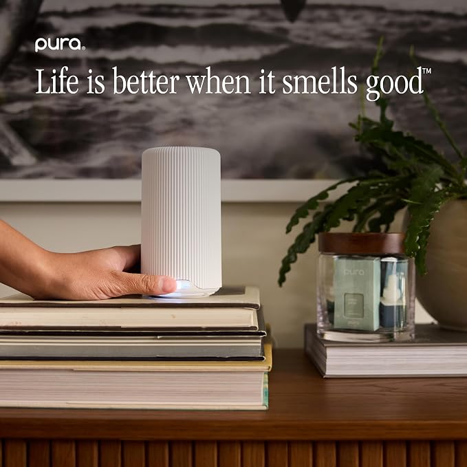 Pura Smart Home Scent Refill - Long-Lasting Premium Fragrance per Refill - Clean Diffuser Fragrance for Home, Office & Apartment - 2 Pack, Simmer Pot