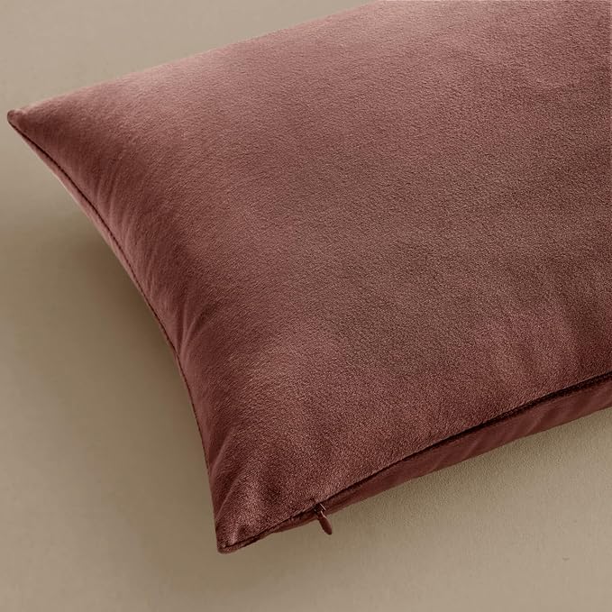 MIULEE Velvet Throw Pillow Covers 22x22 Inch, Pack of 2 - Jam, Soft Solid Decorative Pillow Covers Cushion Cases Modern Luxury Home Decor for Spring Couch Sofa Bedroom Livingroom