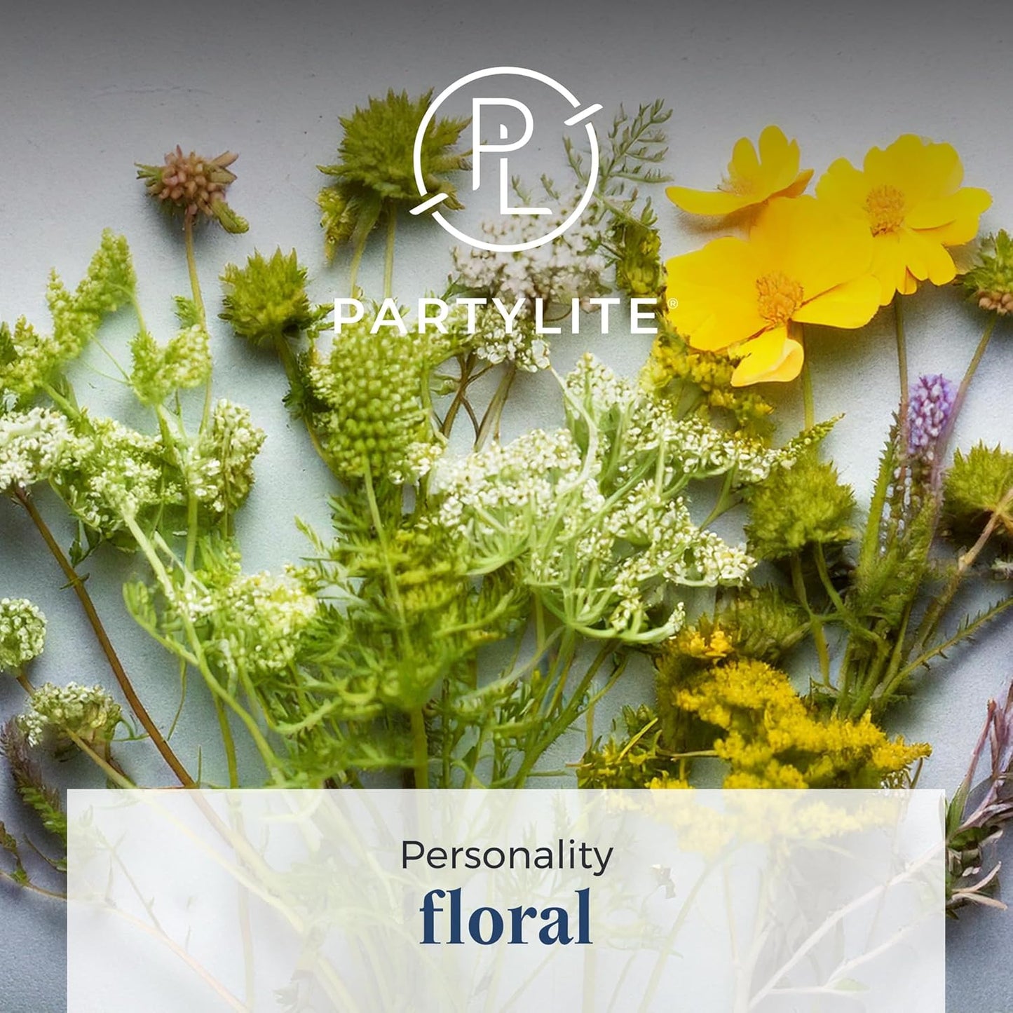 PartyLite 3-Wick Jar Candle, Highly Fragranced Clean Burning Glass Candle, 25-45 Hours Burn Time (Moonflower)