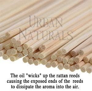 Urban Naturals Reed Diffuser Set, Lavender Fields - Bathroom Shelf Décor | Real Lavender Stems French Blossoms, Geranium & Clary Sage, for Aromatherapy & Stress Relief, Vegan