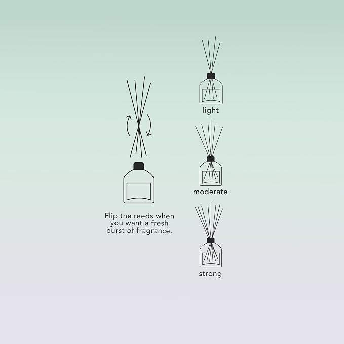 Luxury Reed Diffuser for Home & Bathroom – Ash & Iron Fresh Horizon, Crisp Alpine Air & Cactus Blossom, 125 mL, 4–7 Month Duration