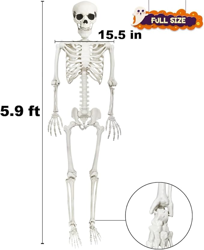 CAMIRUS 5.9FT/185cm Skeleton Halloween Full Size, Life Size Skeleton with Posable Joints Glowing Eyes Skeleton for Halloween Party Outdoor Haunted House Decor