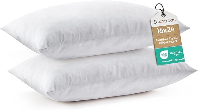 16x24 Feather Lumbar Pillow Inserts, Decorative Throw Pillow Inserts for Covers, Fuller Fit with Soft Support for Bed and Couch, Set of 2