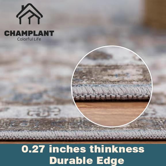 CHAMPLANT 2'x3' Washable Area Rug Door Mat Vintage Doormat Indoor Entrance Traditional Thin Floral Print Non Slip Carpet for Kitchen Bathroom Bedroom Living Room
