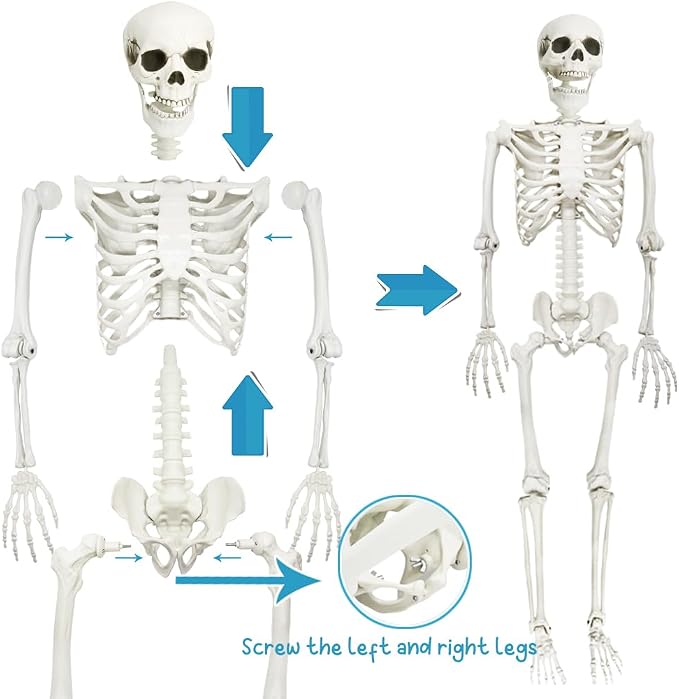 CAMIRUS 5.9FT/185cm Skeleton Halloween Full Size, Life Size Skeleton with Posable Joints Glowing Eyes Skeleton for Halloween Party Outdoor Haunted House Decor