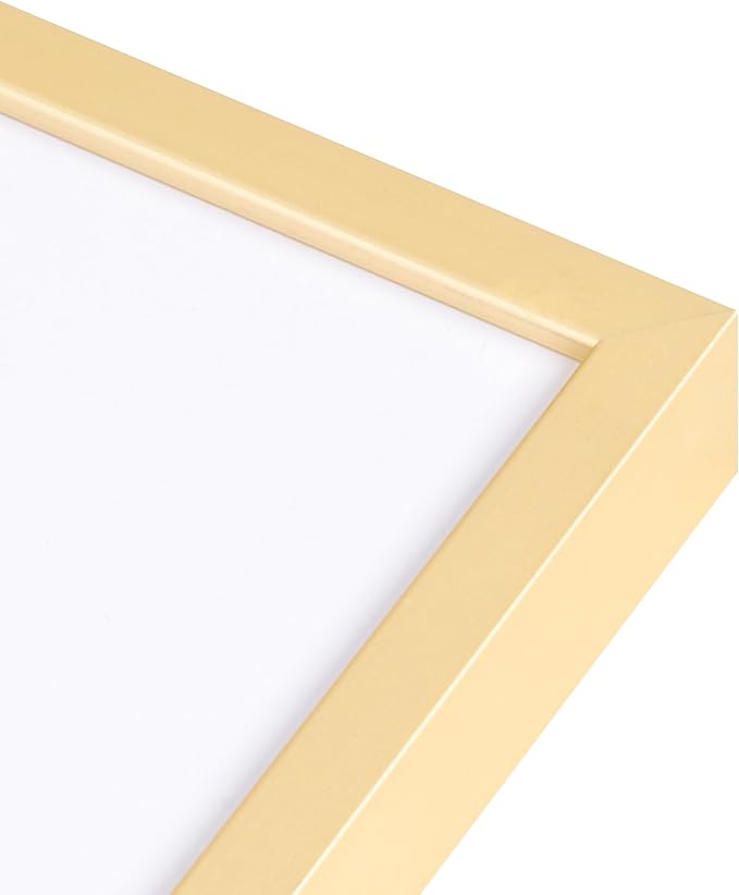FLYJOE 11x14 Picture Frame - 11 by 14 Metal Picture Frame With Mat For 8x10 | 14x11 Frame Aluminum | Plexiglass And Hanging Hardware Included | 11x14 Poster Frame | Gold