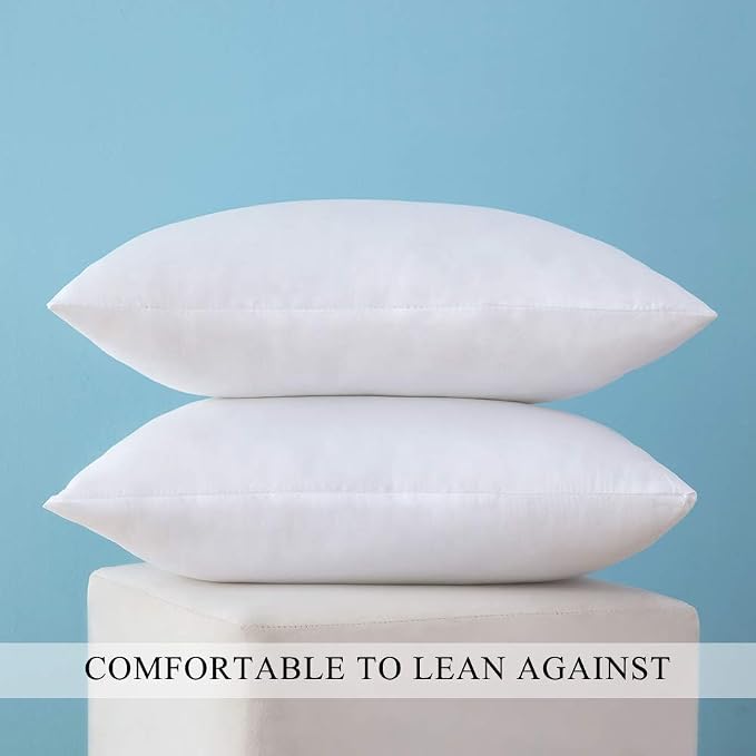 MIULEE Set of 2 Throw Pillow Inserts Premium Pillow Stuffer Rectangle Form for Decorative Cushion Bed Couch Sofa 12x24 Inch