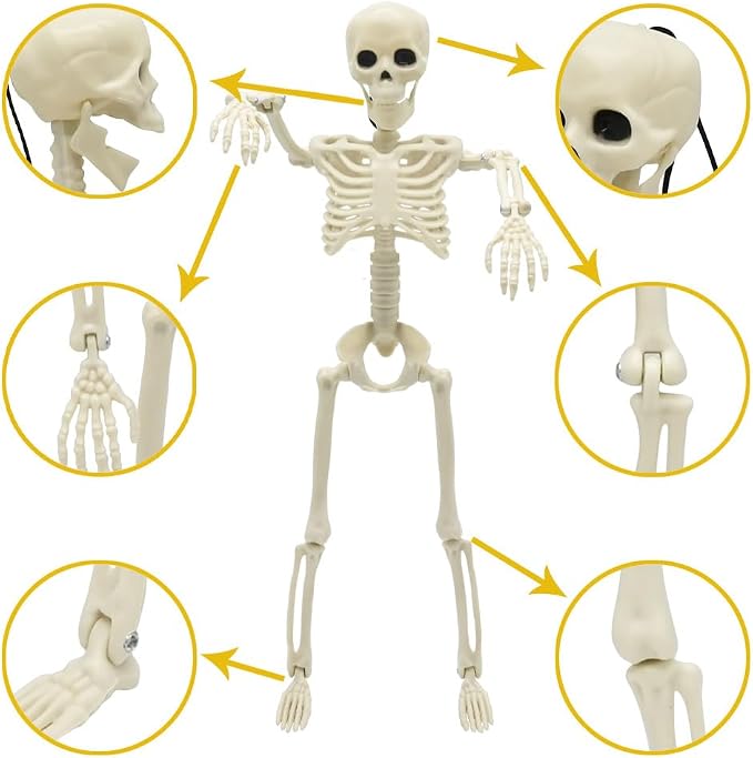 CAMIRUS 5PACK Halloween Skeleton Decorations, 16" Full Body Mini Skeletons with Poseable Joints for Yard, Garden, Lawn, Patio, Party Favors & Decor, 5pcs