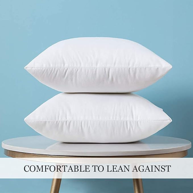 MIULEE Set of 2 Throw Pillow Inserts Premium Pillow Stuffer Square Form for Decorative Cushion Bed Couch Sofa 22x22 Inch