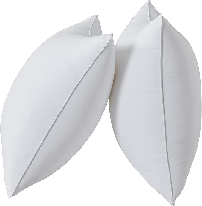 Qeils 20 x 20 Pillow Inserts Set of 2 White Throw Pillow Inserts with Soft Polyester Cover - Rectangle Square Interior Sofa Pillow Inserts Decorative Pillow Insert White Couch Pillow