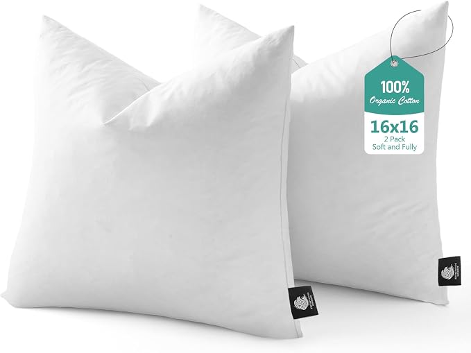 BPC Luxury Feather Down 16x16 Pillow Inserts Set of 2, Soft Fluffy Throw Pillow Inserts, 100% Organic Cotton Cover, Square Pillows for Couch, Living Room, Bed, Sofa