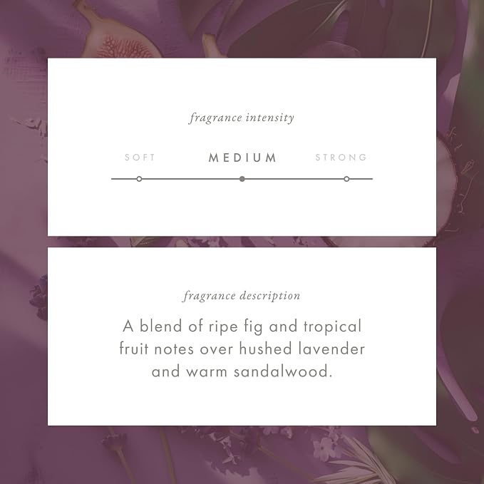 ScentAir Whisper Essential Monthly Plug-in Refill, Mediterranean Fig | Fragrance Diffuser Cartridge Refill for Home and Office