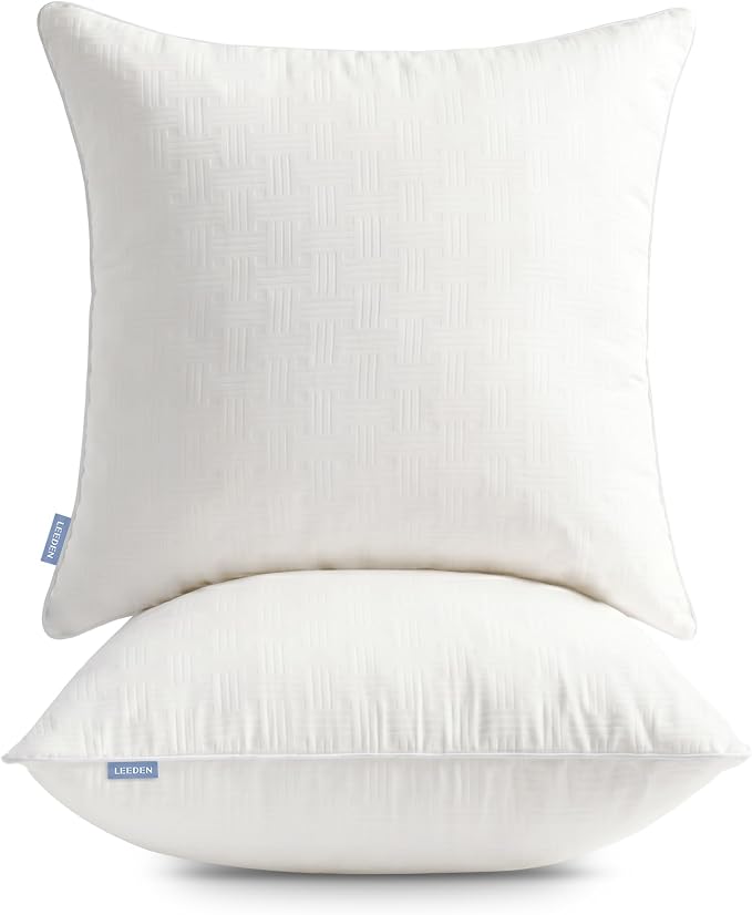 Leeden 24x24 Pillow Inserts Set of 2 - Decorative 24 Inch Throw Pillow Insert, Soft Fluffy Square Throw Pillows for Couch Bed, Beige Couch Pillow Insert Pair