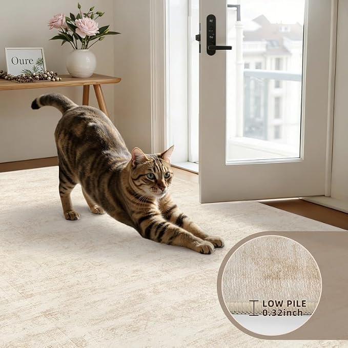 3x5 Area Rugs for Living Room: Vintage Boho Neutral Washable Rug Indoor Soft Large Area Rug Carpet for Bedroom Nursery Farmhouse Dining Room Office Floor Non-Slip Low Pile Under Table Rug Retro Beige