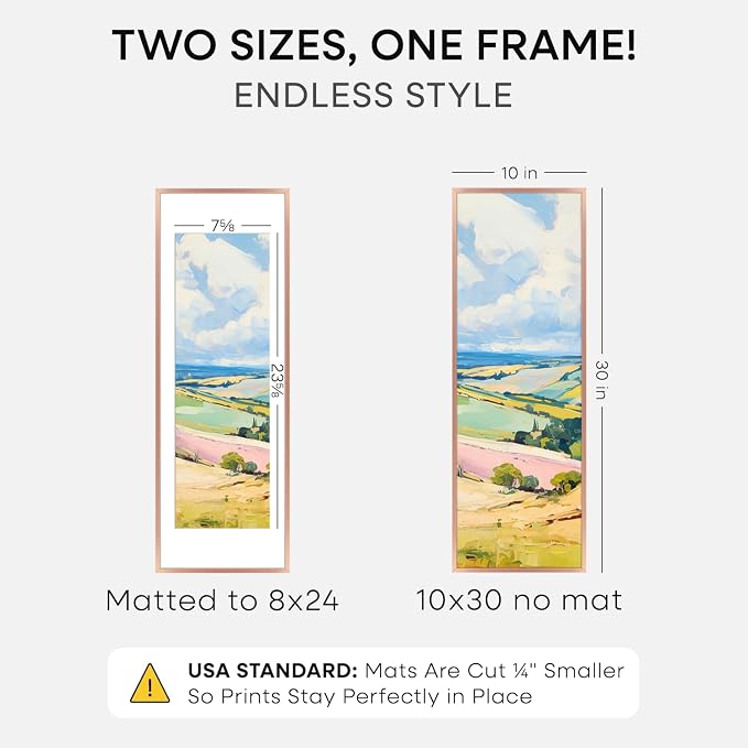 Homeforia 10x30 Rose Gold Picture Frame, High End Metal 10by30 Poster Frames with Mat 8x24 Photo, 10 x 30 Rose Frames Matted to 8 x 24 Print, 30x10 Panoramic Frames, Tempered Glass, Wall Kit, Set of 1