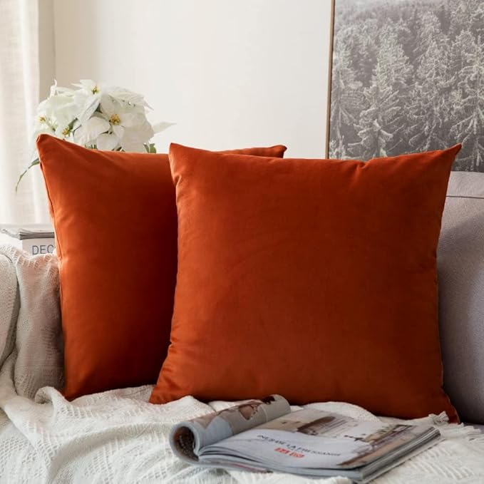 MIULEE Velvet Throw Pillow Covers 16x16 Inch, Pack of 2 - Burnt Orange, Soft Solid Fall Decorative Pillow Covers Cushion Cases Modern Luxury Home Decor for Couch Sofa Bedroom Livingroom