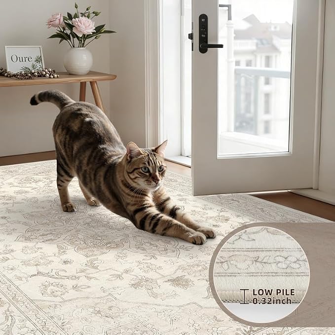 Round Area Rug for Living Room: 6ft Vintage Boho Neutral Washable Circle Rug Soft Large Circular Carpet for Bedroom Nursery Farmhouse Dining Room Office Floor Non-Slip Low Pile Under Table Beige White