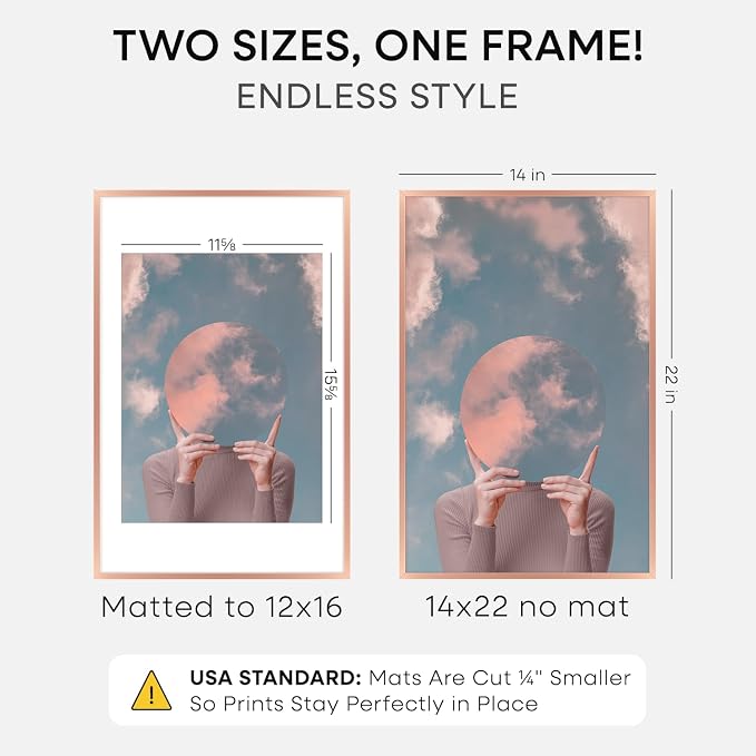 Homeforia 14x22 Picture Frame Rose Gold, High End Metal 14x22 Poster Frames with Mat 12x16 inch Photo, 14 x 22 Rose Gold Frame Matted to 12 by 16 Print, 22x14 Frame, Tempered Glass, Wall Kit, Set of 1