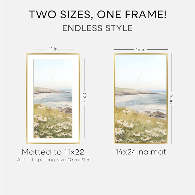 Homeforia 14x24 Picture Frame Gold, High End Metal 14x24 Poster Frames with Mat 11x22 Photo, 14 x 24 Gold Frame Matted to 11 by 22 Print, 24by14 Thin Hanging Frames, Tempered Glass, Wall Kit, Set of 3