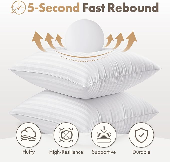 MIULEE 24x24 Euro Pillow Inserts Set of 2 Firm and Fluffy Decorative Throw Pillows for Couch Sofa Bed 100% Virgin Microfiber with Cotton Cover