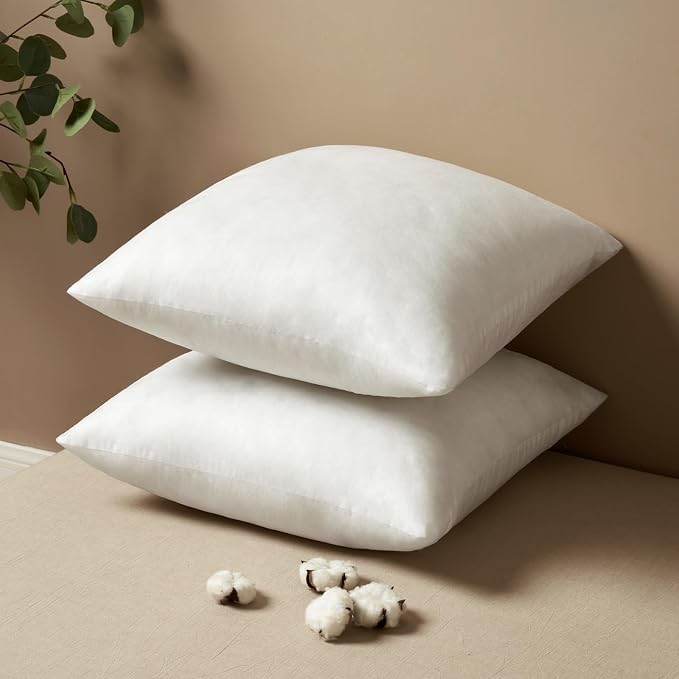 MIULEE 20x20 Pillow Inserts Set of 2, Square Decorative Throw Pillows Premium Fluffy Pillow Forms Sham Stuffer for Living Room Sofa Couch Bed