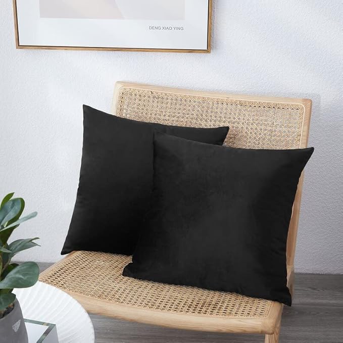 NiNi ALL Decorative Throw Pillow Covers Pack of 2, Velvet Throw Pillow Cases for Couch Pillows Cover Bedroom Living Room Outdoor, Pillow Covers 22x22 Inch Black