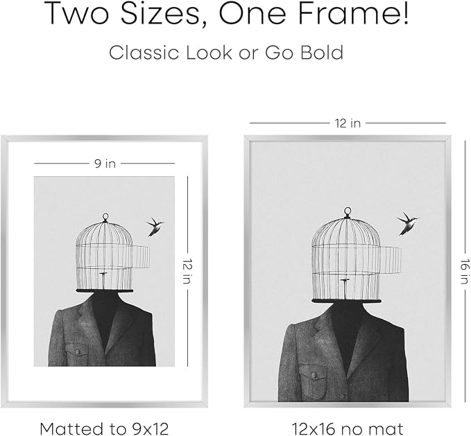Homeforia 12 x 16 Picture Frame Silver, High End Metal 12x16 Poster Frames with Mat 9x12 Photo, 12 x 16 Silver Frame Matted to 9 x 12 in Print, 16by12 Hanging Frame, Tempered Glass, Wall Kit, Set of 2