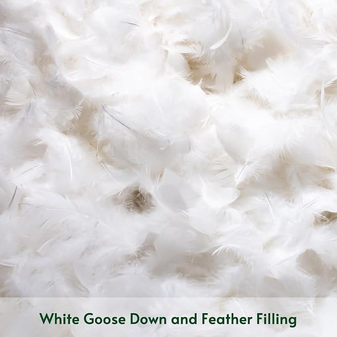 OTOSTAR Pack of 2 Down and Feather Throw Pillow Inserts, 12 x 20 Soft Fluffy Pillow Inserts with 100% Cotton Cover Decorative Pillows for Sofa Couch Bed-White