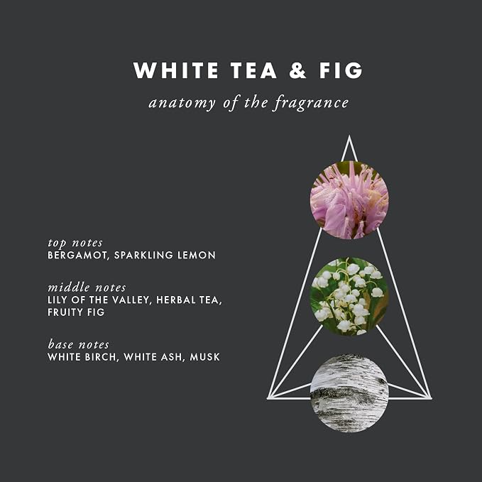 ScentAir Whisper Essential Monthly Plug-in Refill, White Tea & Fig | Fragrance Diffuser Cartridge Refill for Home and Office