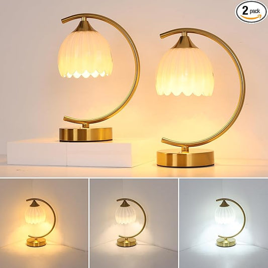 Shenmoyl Set of 2 Tulip Table Lamp, 5200mAh Cordless Touch Control Table Lamps with 3 Color Temps & Stepless Dimming, Rechargeable Battery Table Lamp for Living Room, Bedroom, Shelf (White Tulip)