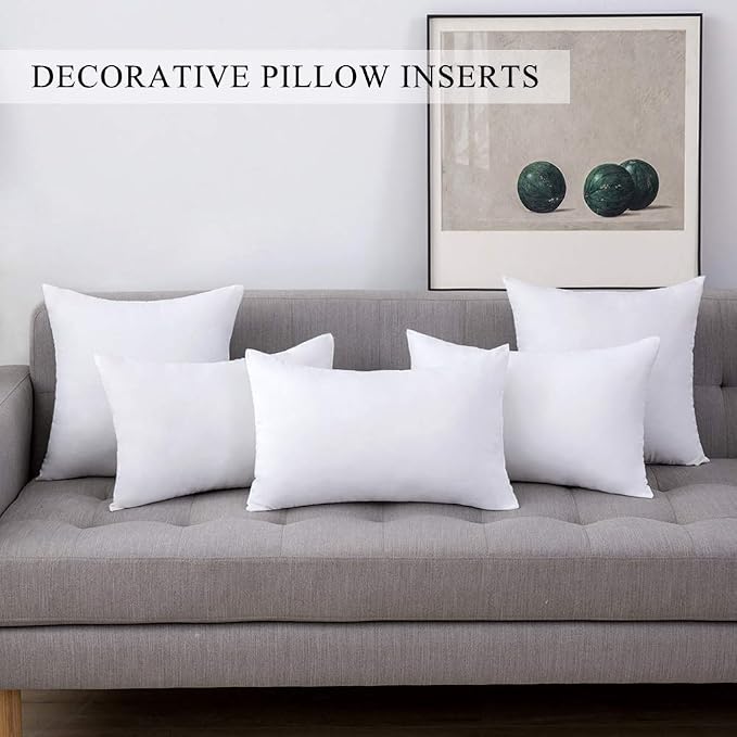 MIULEE Set of 2 Throw Pillow Inserts Premium Pillow Stuffer Square Form for Decorative Cushion Bed Couch Sofa 14x22 Inch