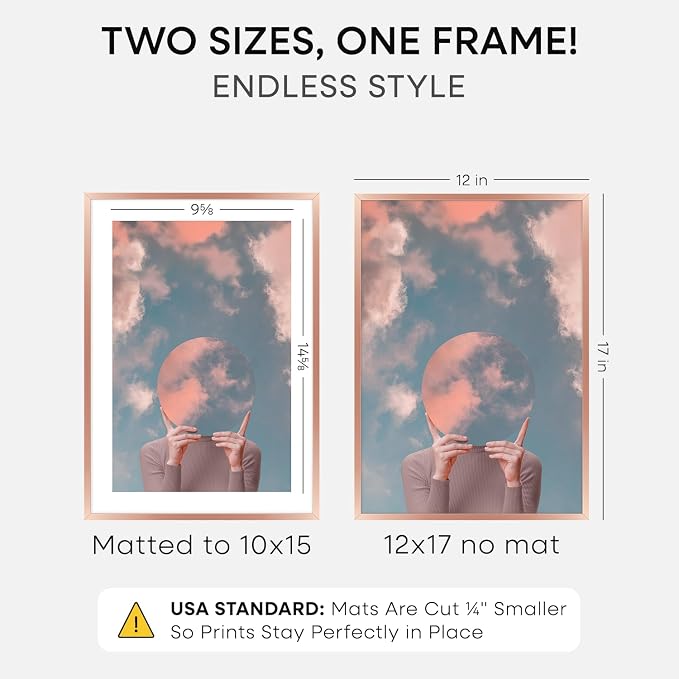 Homeforia 12x17 Picture Frame Rose Gold, High End Metal 12x17 Poster Frames with Mat 10x15 Photo, 12 x 17 Rose Gold Frame Matted to 10 by 15 Print, 17x12 Thin Frame, Tempered Glass, Wall Kit, Set of 1