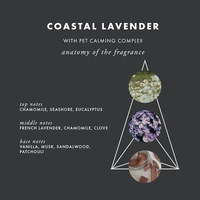 ScentAir Whisper Essential Monthly Plug-in Refill, Lavender Pet Calming | Fragrance Diffuser Cartridge Refill for Home and Office