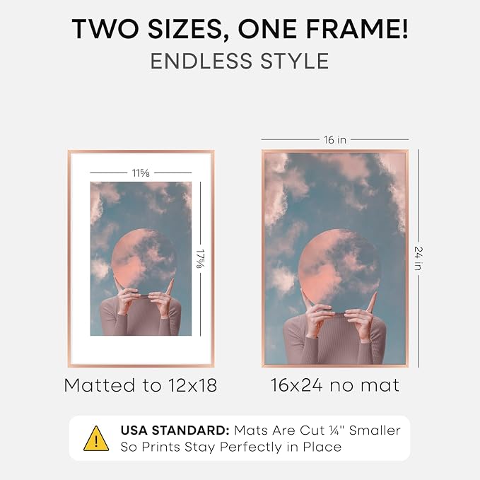 Homeforia 16x24 Picture Frame Rose Gold, High End Metal 16x24 Poster Frames with Mat 12x18 inch Photo, 16 x 24 Rose Gold Frame Matted to 12 by 18 Print, 24x16 Frame, Tempered Glass, Wall Kit, Set of 1